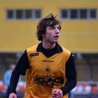 Футбольный портрет :: Наталья Вязигина