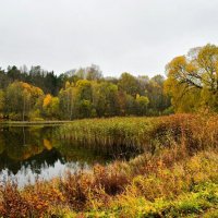 Смоленская область в последней декаде октября. :: Милешкин Владимир Алексеевич 