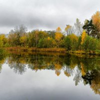 Уголок осенней природы. :: Милешкин Владимир Алексеевич Уголок осенней природы. :: Милешкин Владимир Алексеевич