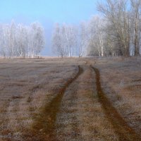 Осеннее утро. :: nadyasilyuk Вознюк Осеннее утро. :: nadyasilyuk Вознюк