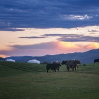 монгольский пейзаж :: Galina монгольский пейзаж :: Galina