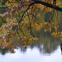 Осень и река :: ирина 