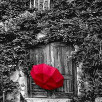 Красный зонтик :: Игорь 