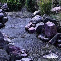 Парк Галицкого..." Японский сад " :: Николай Саржанов