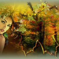 От осени всем привет! :: Е.М. ***