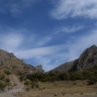 Природа Крыма :: Amazing Cosmea