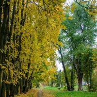 Городская осень :: Галина Ложечникова