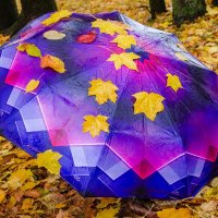 Осенний зонт :: Галина Ложечникова