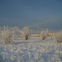 Зима :: Anna Ivanova