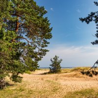 на Финском заливе :: navalon M