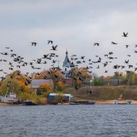 **** :: Елизавета .