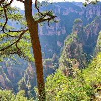 ... Стой !... :: Andrey Bragin ... Стой !... :: Andrey Bragin