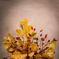 Осенний этюд :: Людмила Павловна Крышковец