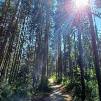 О счастье мы всегда лишь вспоминаем. А счастье всюду. Может быть :: Hope О счастье мы всегда лишь вспоминаем. А счастье всюду. Может быть :: Hope