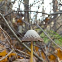 - :: Татьяна Венцель