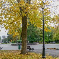 Осень в парке.. :: Евгений Осень в парке.. :: Евгений
