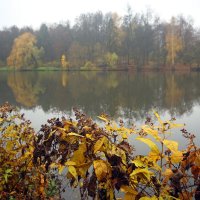 Царицыно 22 октября :: Михаил Бибичков