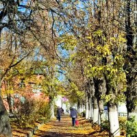 Осенняя аллея :: Ирина Осенняя аллея :: Ирина