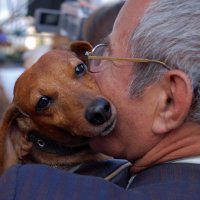 дружок :: DiNa 