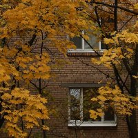 Осень смотрится в зеркала окон... :: Александр Лебедевъ