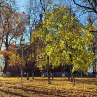 Осенним днем :: Ирина 