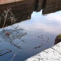 Шлиссельбург :: Наталья Герасимова