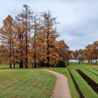 Осень :: Сапсан 