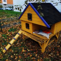 Домик для братьев меньших :: Андрей Лукьянов