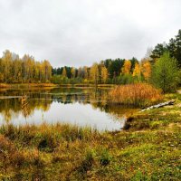 Осенняя пора (репортаж из поездок по области). :: Милешкин Владимир Алексеевич 