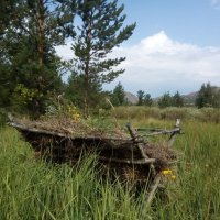 Баян Аул :: Андрей Хлопонин