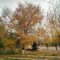 Золотое время :: Георгиевич 