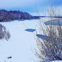 Первозимье на Юганской Оби! :: Владимир 