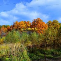 Чебоксары. Осенний Берендеевский лес на склонах оврага речки Чебоксарки. :: Пётр Чернега