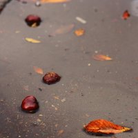 Плавают... :: Юрий Гайворонскiий