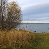 У Имандры :: Ольга У Имандры :: Ольга