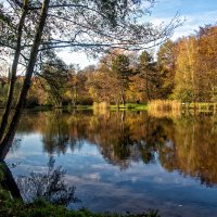 ------------- :: igor G.