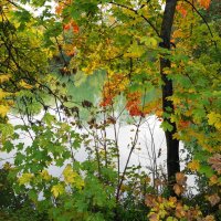 Октябрь :: Рита Симонова