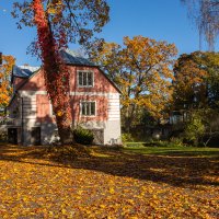 *** :: Геннадий Порохов