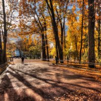 *** :: Сергей Григорьев