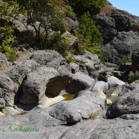 Природа Крыма :: Amazing Cosmea