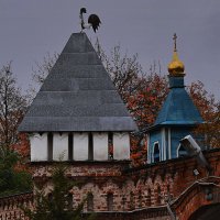 Вид с подворья на монастырь. :: Татьяна Помогалова