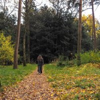 ***** :: юрий поляков