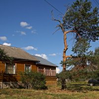 Село Домнино. Сусанинские места. Костромская область :: MILAV V