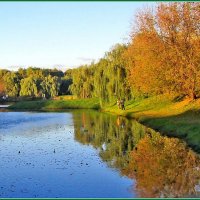 Золотая осень :: Ольга Довженко