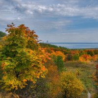 Краски осени :: Наталья Димова