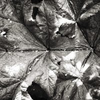 Фотография :: Денис Безногов