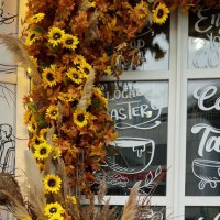 Осень :: Радмир Арсеньев