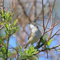 И замерла... :: Владилен Панченко
