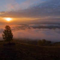 *** :: владимир 