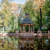 *** :: Светлана .